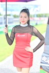 Buriram TOYOTA GAZOO Racing Motorsport 2025 #3,4：2025年9月-0446