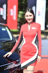 CNX TOYOTA Gazoo Racing Motorsport 2023 #4：2023年11月-0252